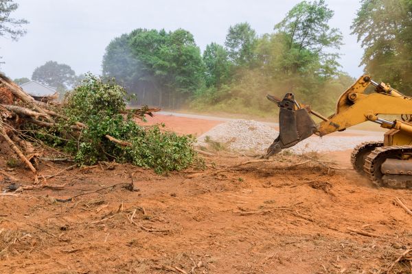 Forestry Mulching Service in New Braunfels