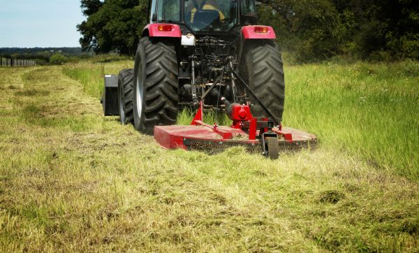 Brush Clearing Service in New Braunfels