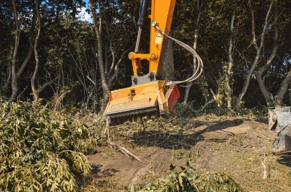 Brush Removal Service in New Braunfels