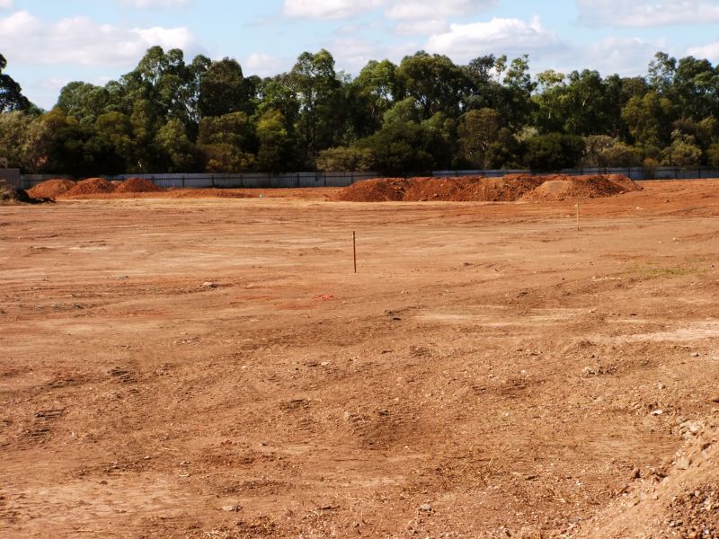 Dry Season Land Clearing